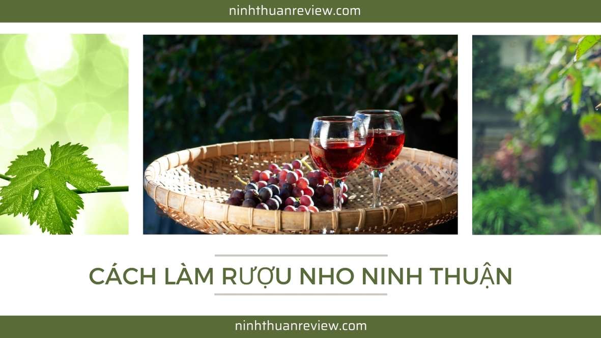 cách làm rượu nho ninh thuận
