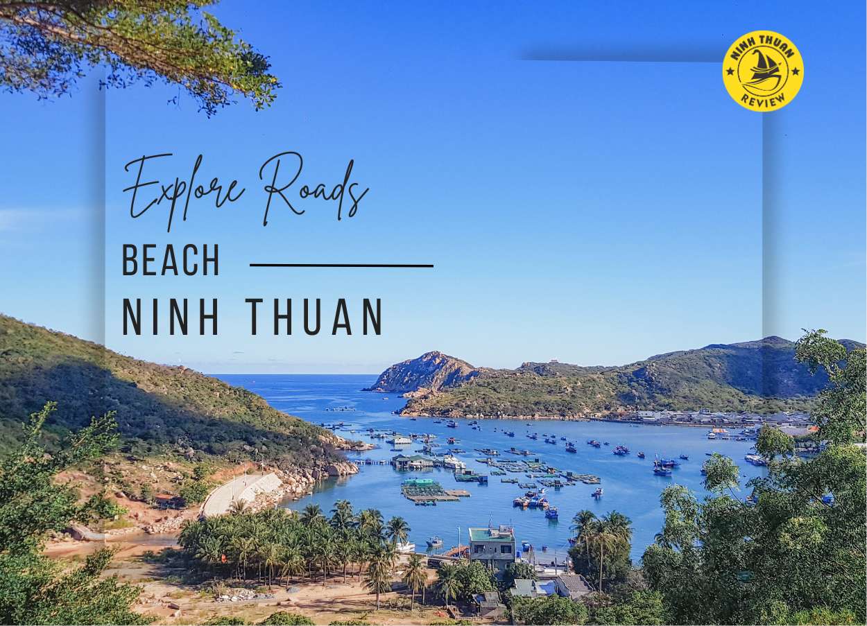 Mãn nhãn với cung đường đèo ven biển Vĩnh Hy - Bình Tiên