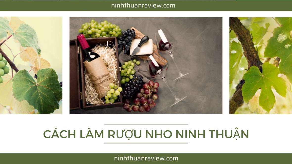 rượu nho ninh thuận